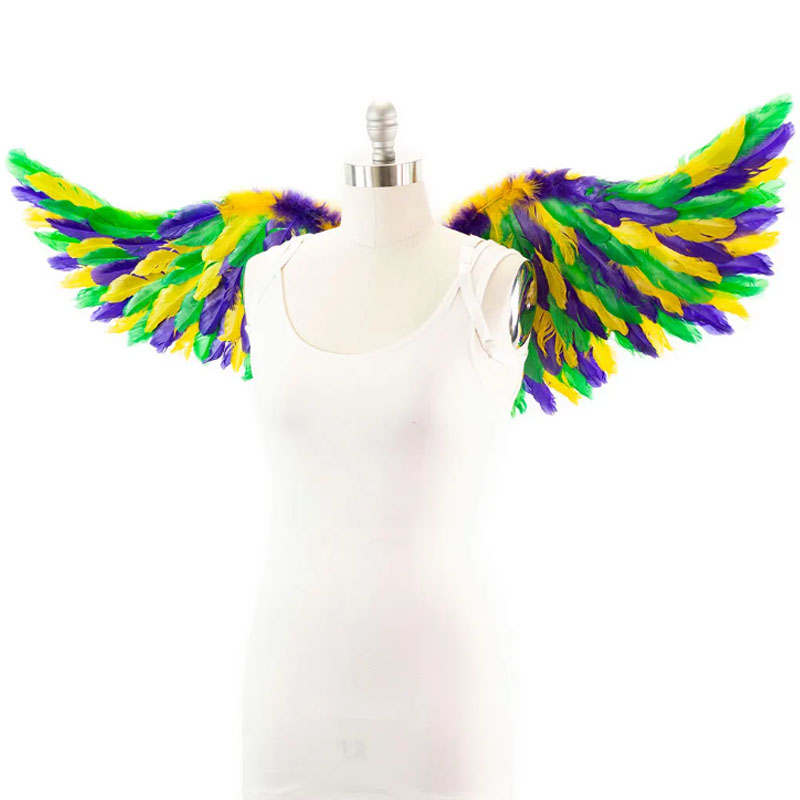 Asa de anjo de penas