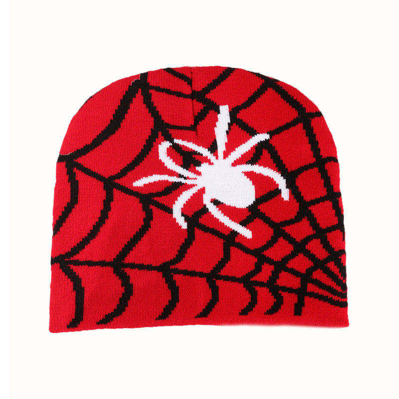 Spider Web Pattern Knit Cap Skully